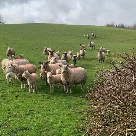 The Mews Ньюбридж