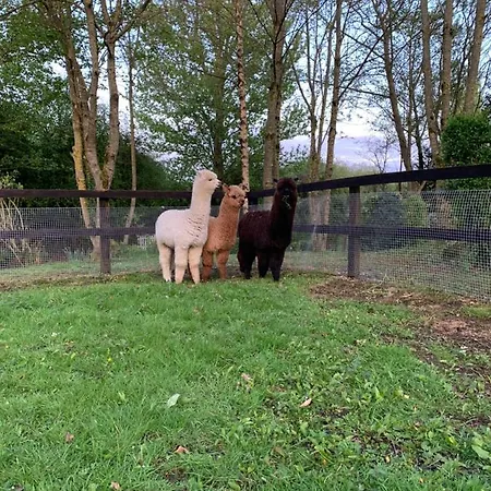 The Mews Ньюбридж