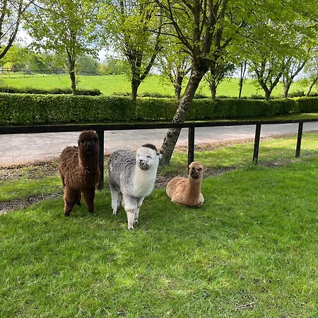 The Mews * Ньюбридж