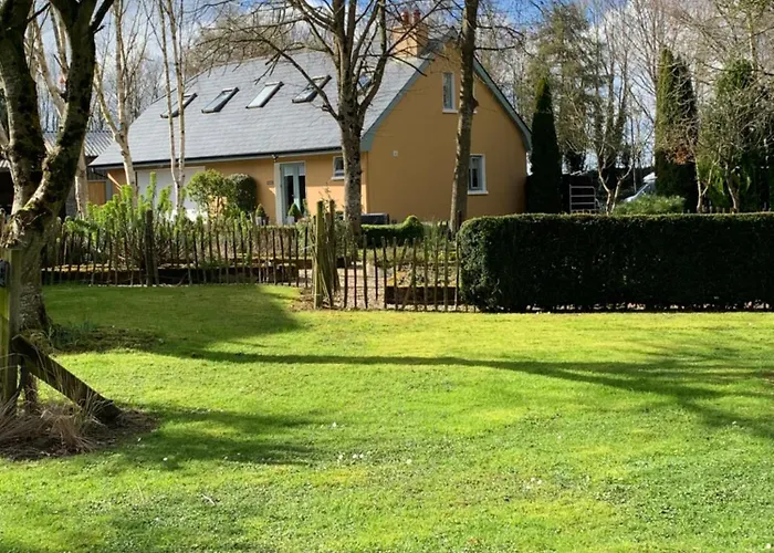 The Mews * Newbridge (Kildare)