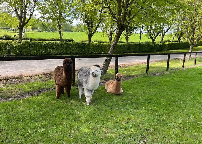 The Mews * Newbridge